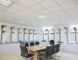 روون نشان دادن